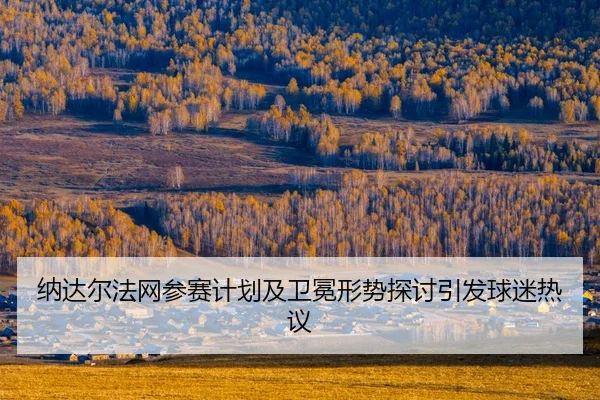 na-da-er-fa-wang-can-sai-ji-hua-ji-wei-mian-xing-shi-tan-tao-yin-fa-qiu-mi-re-yi-2-607.jpg